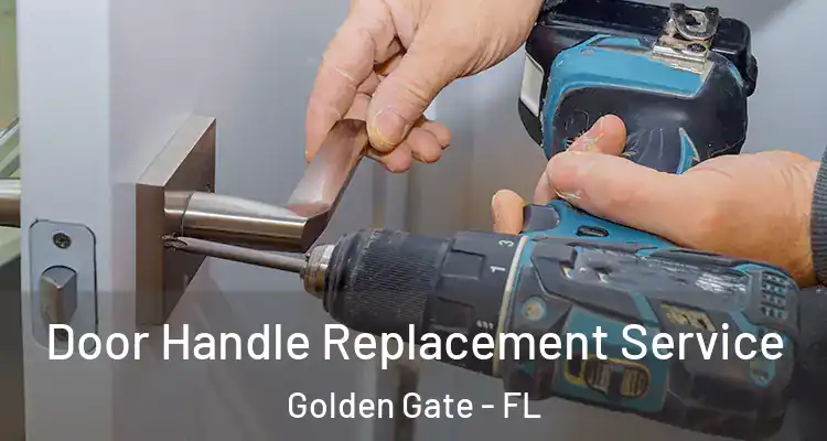  Door Handle Replacement Service Golden Gate - FL