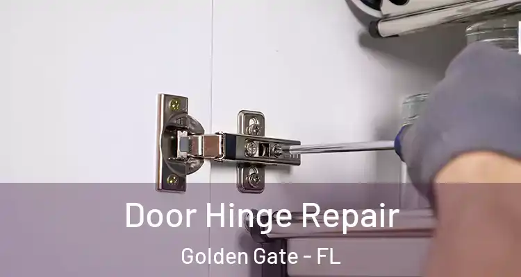  Door Hinge Repair Golden Gate - FL