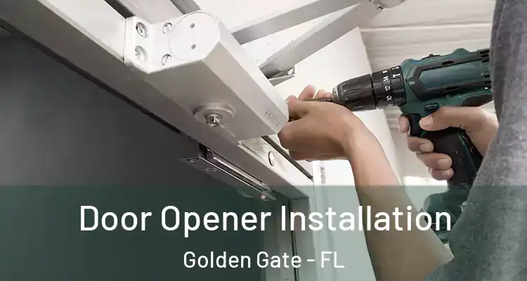  Door Opener Installation Golden Gate - FL