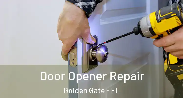  Door Opener Repair Golden Gate - FL