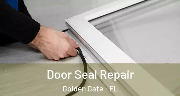  Door Seal Repair Golden Gate - FL