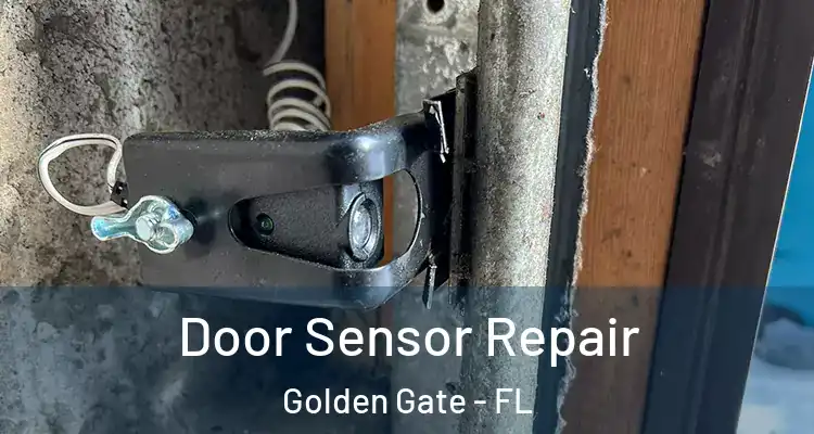  Door Sensor Repair Golden Gate - FL