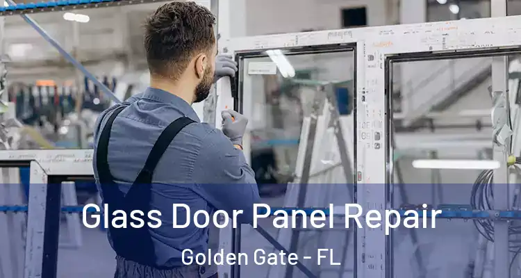  Glass Door Panel Repair Golden Gate - FL
