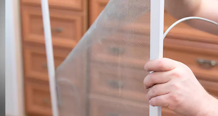 Privacy Mesh Screen Door Installation in Golden Gate, FL