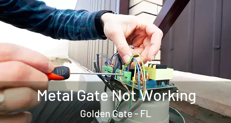  Metal Gate Not Working Golden Gate - FL