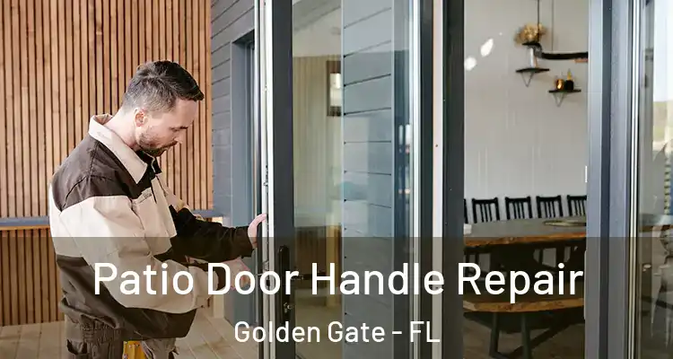  Patio Door Handle Repair Golden Gate - FL