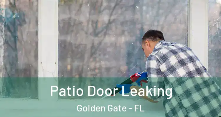  Patio Door Leaking Golden Gate - FL