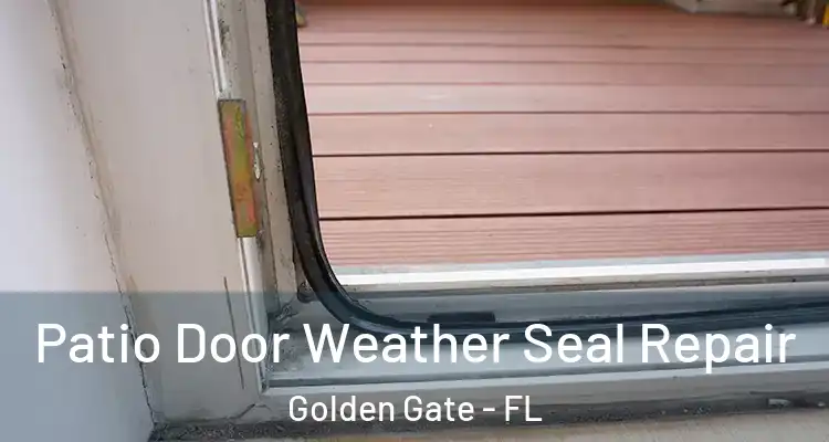  Patio Door Weather Seal Repair Golden Gate - FL