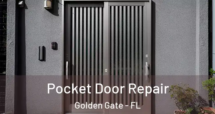  Pocket Door Repair Golden Gate - FL