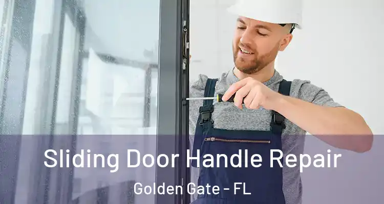  Sliding Door Handle Repair Golden Gate - FL