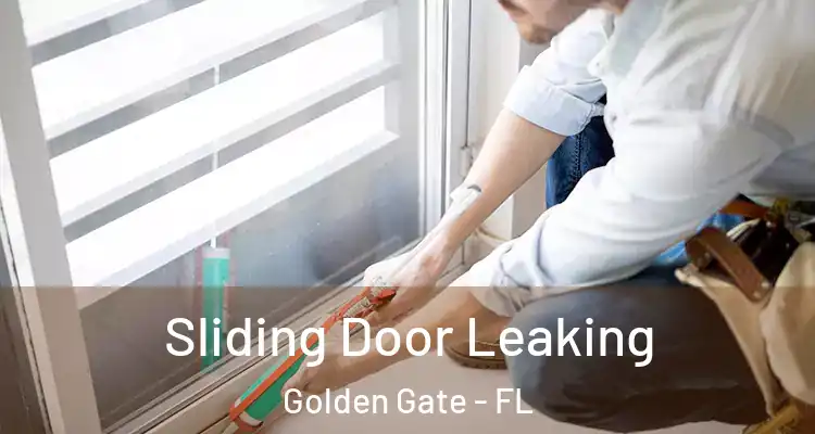  Sliding Door Leaking Golden Gate - FL