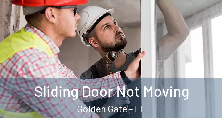  Sliding Door Not Moving Golden Gate - FL