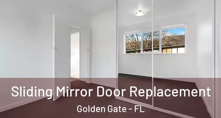  Sliding Mirror Door Replacement Golden Gate - FL