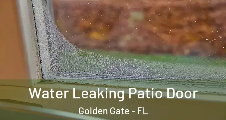  Water Leaking Patio Door Golden Gate - FL